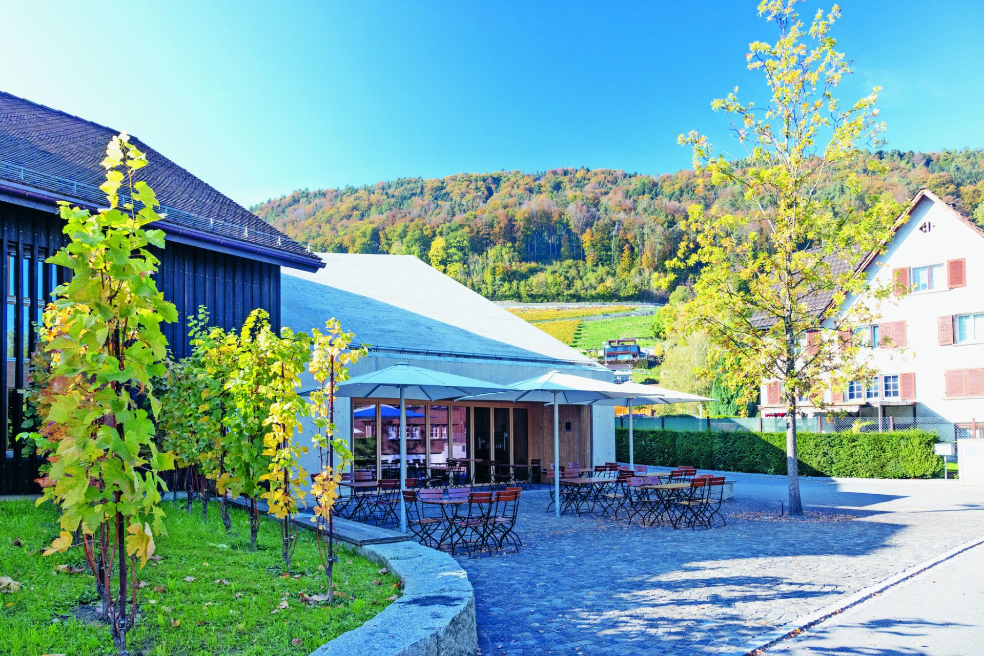 Terasse Haus des Weins Berneck