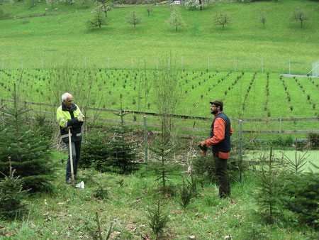 Christbaumanlage Unterrüden